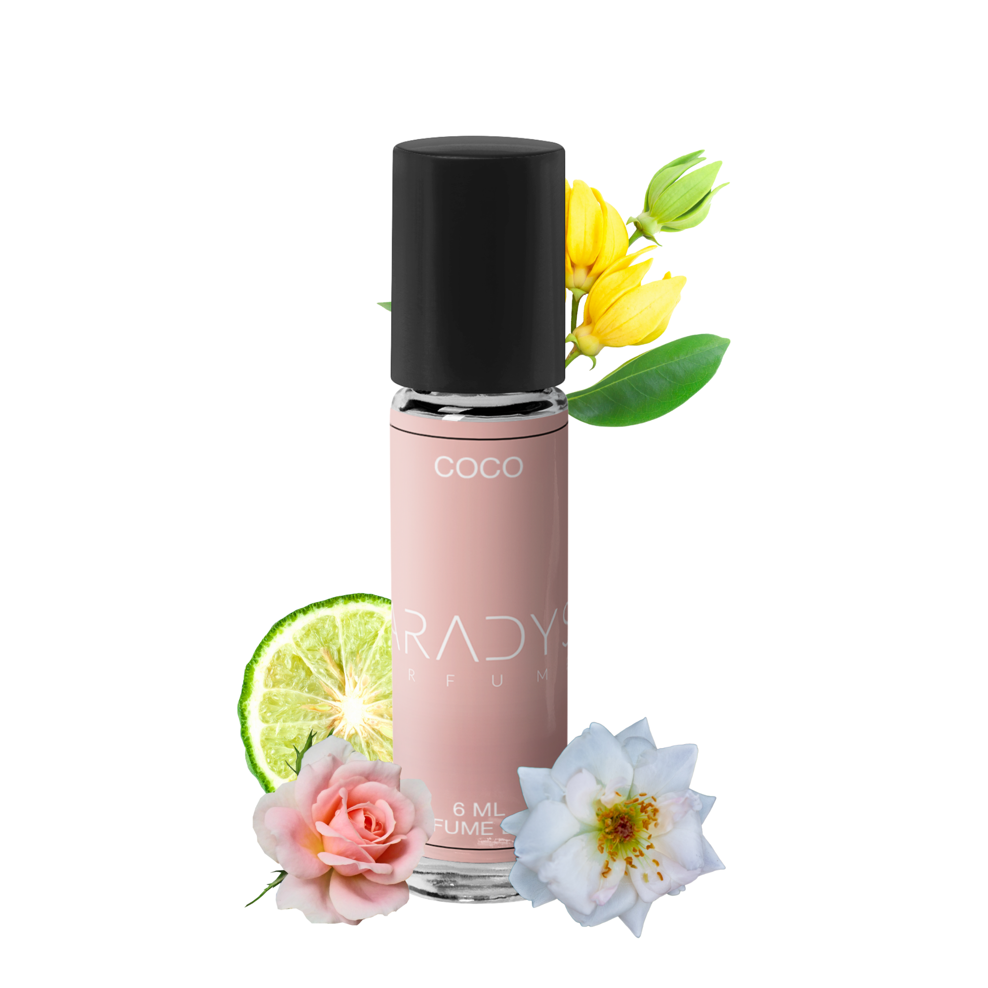 Coco - Attar