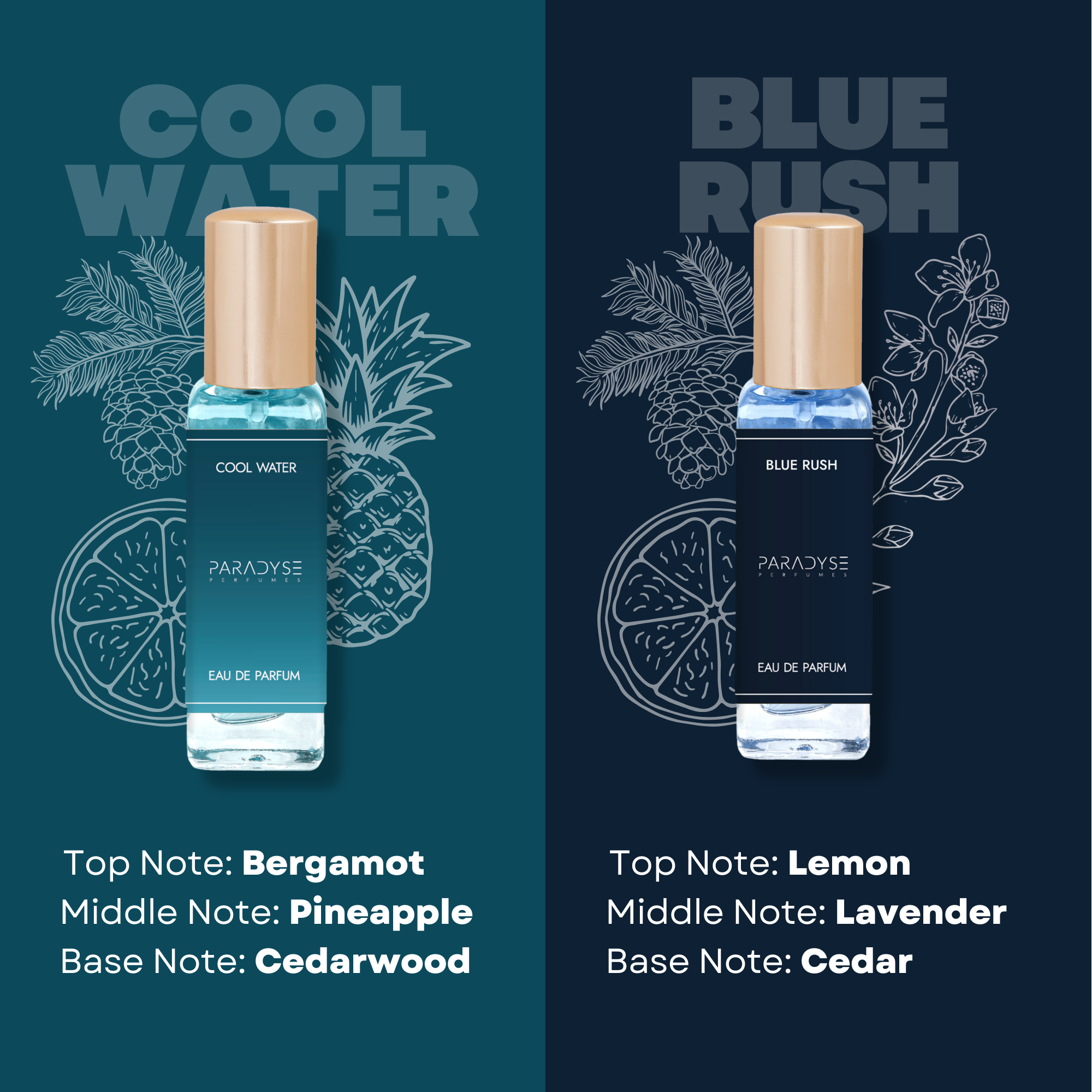 Gym perfume Set  - Pack Of 4 | Polo Sport | Aventus | Blue Rush | Cool Water 4 X 20 ml