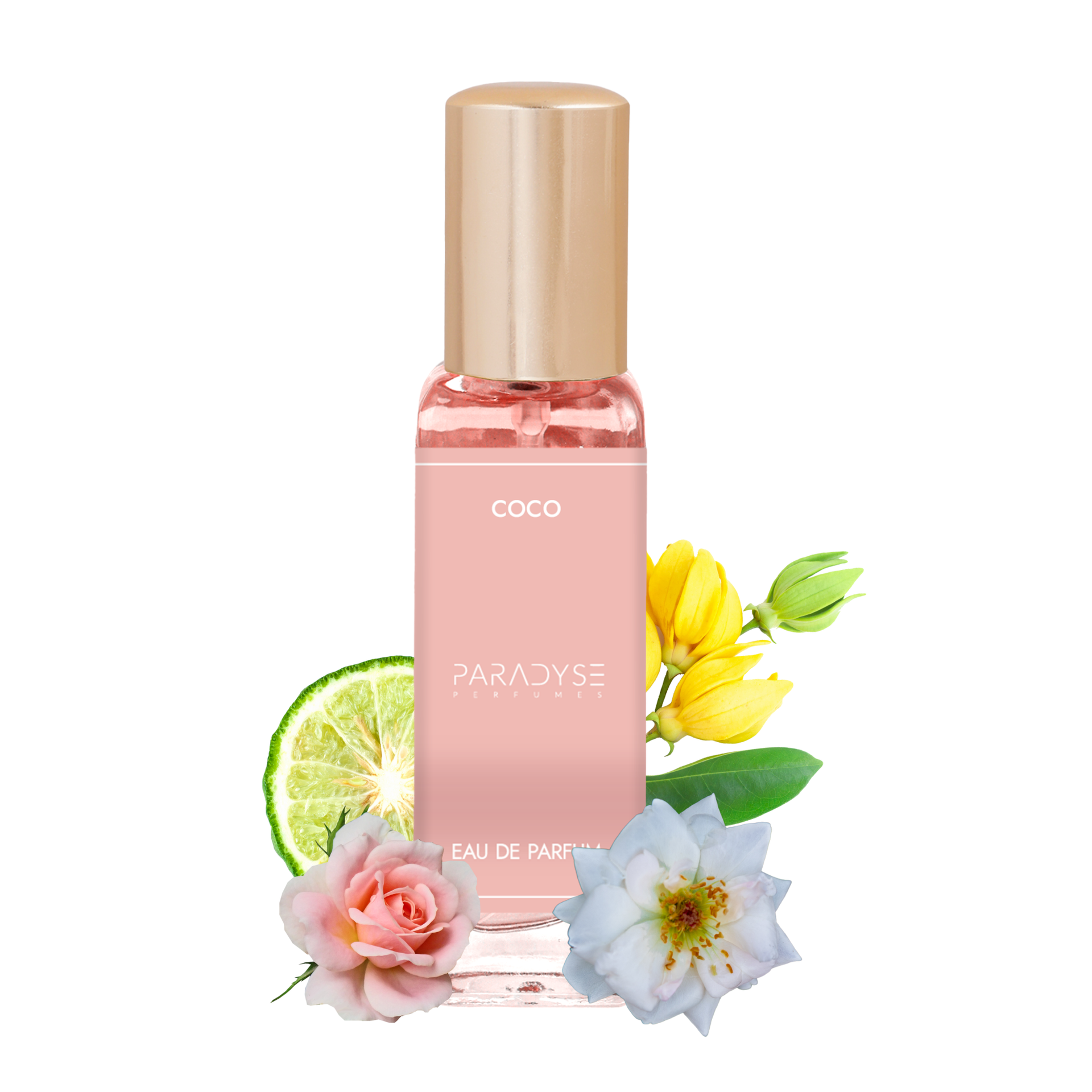 Coco -20ML
