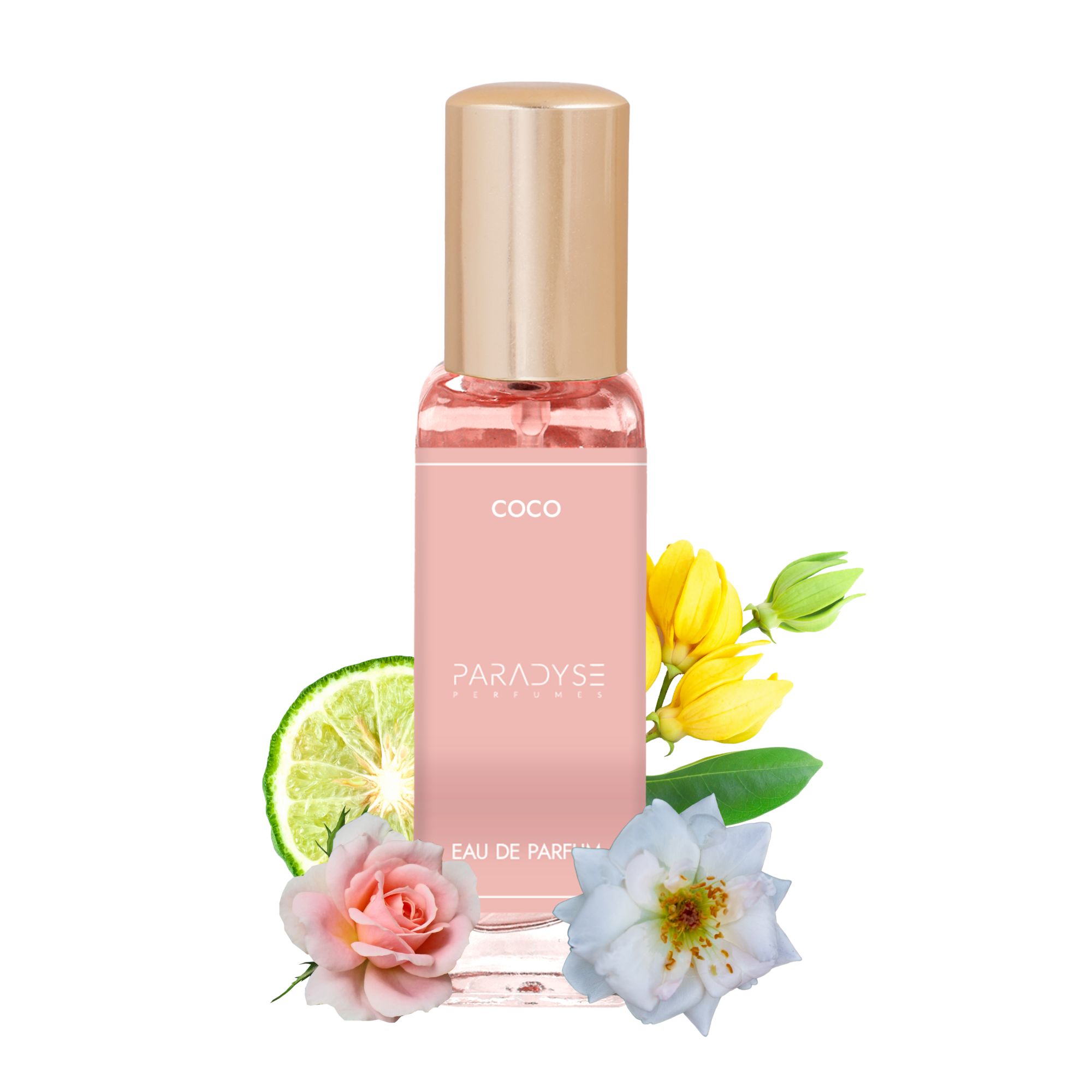 Coco -20ML