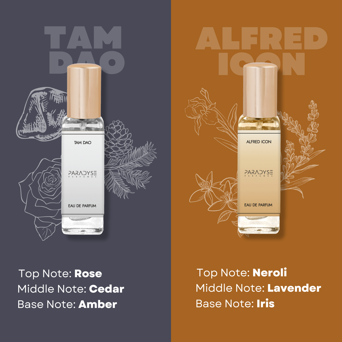 Celebrity perfume Set - Pack Of 4 | Tam Dao | Alfred Icon | Cool Water | The Vikings 4X 20Ml