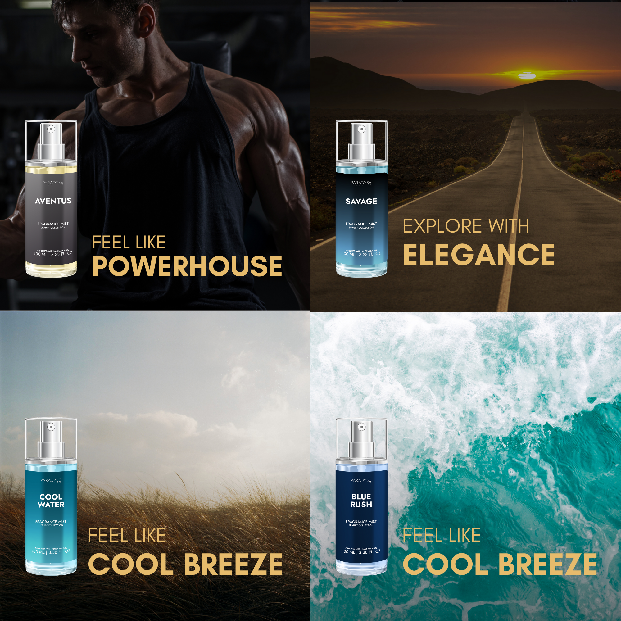 Body Mist For Gym - Pack Of 4 | Blue Rush | Aventus | Cool Water | Savage | 4 X 100ML