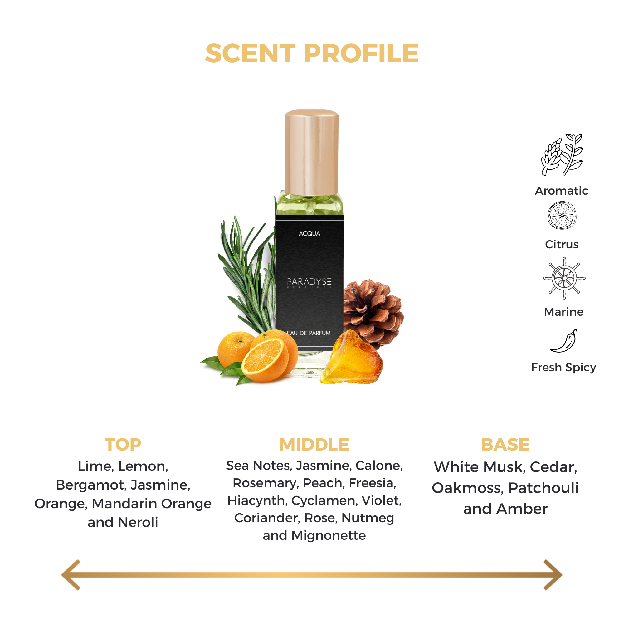 Acqua-20ML