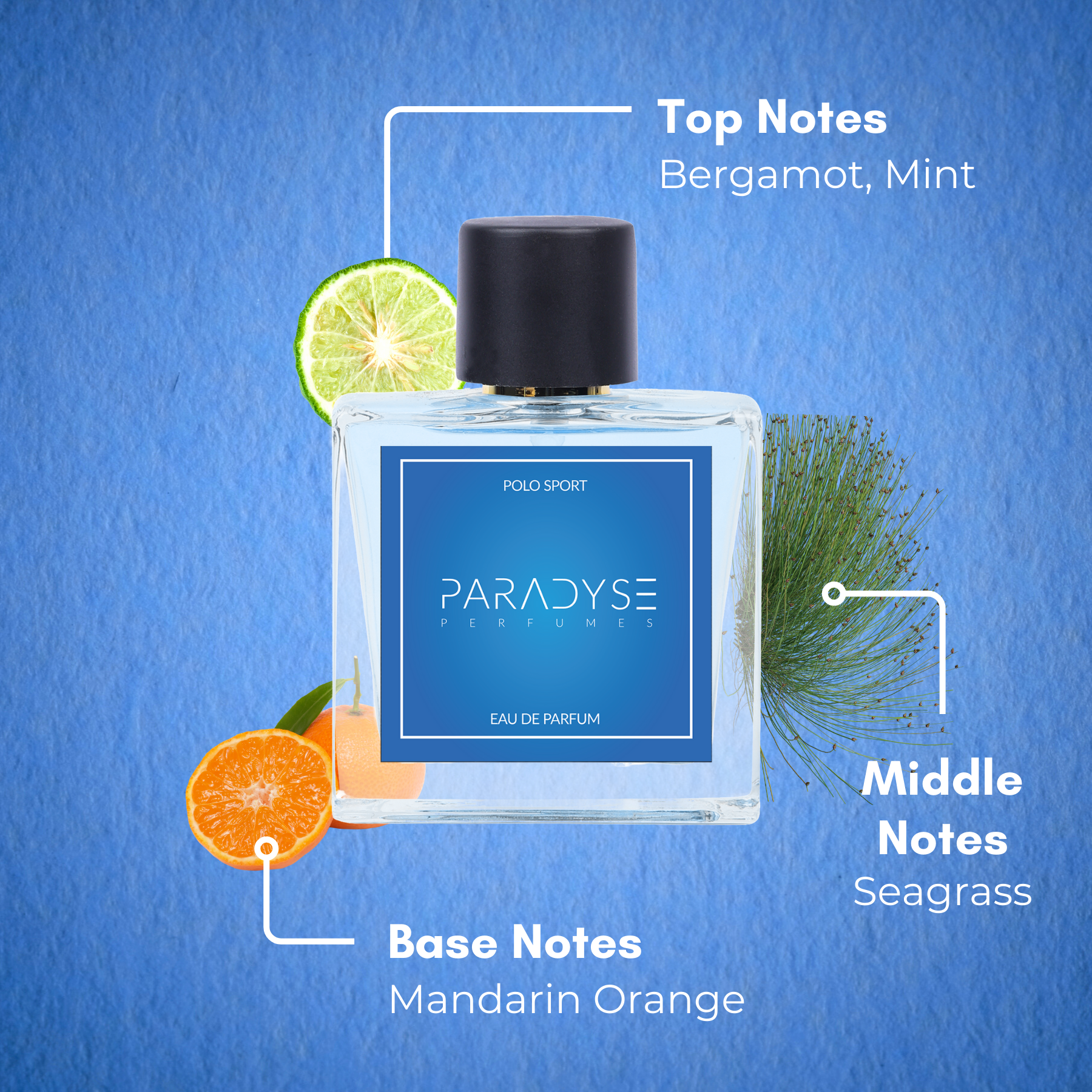 Polo perfume sport shop